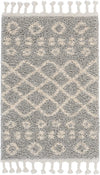 Nourison Marrakesh Shag Transitional Silver Area Rug