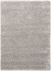 Nourison Amore Contemporary Light Grey Area Rug