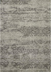 Nourison Luminance Transitional Ivory/Black Area Rug