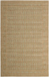 Nourison Cosmopolitan Traditional Pistachio Area Rug